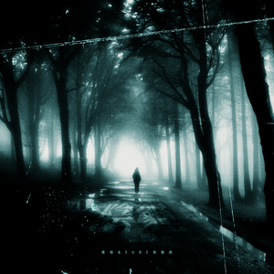 大🐻100%露出来视频
