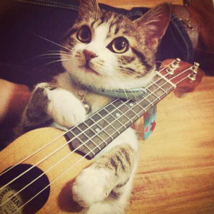 大🐻100%露出来视频
